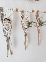 Load image into Gallery viewer, BOHO air plant hanger
