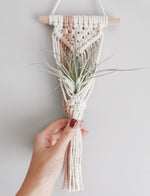 Load image into Gallery viewer, BOHO air plant hanger
